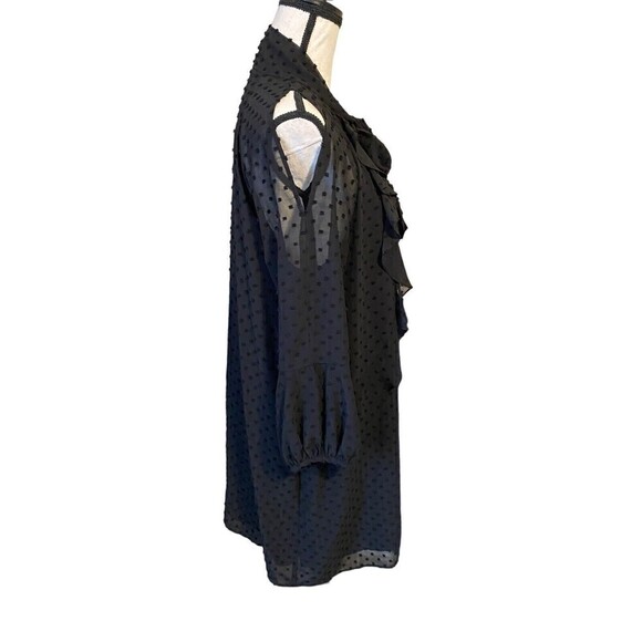 ZARA Plumetis Dress Bow Neckline Black Swiss Dot Size Large Ruffles Line… - Picture 3 of 12